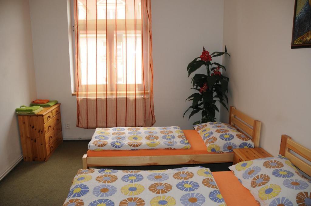 Penzion Pupendo Hradec Králové Екстериор снимка